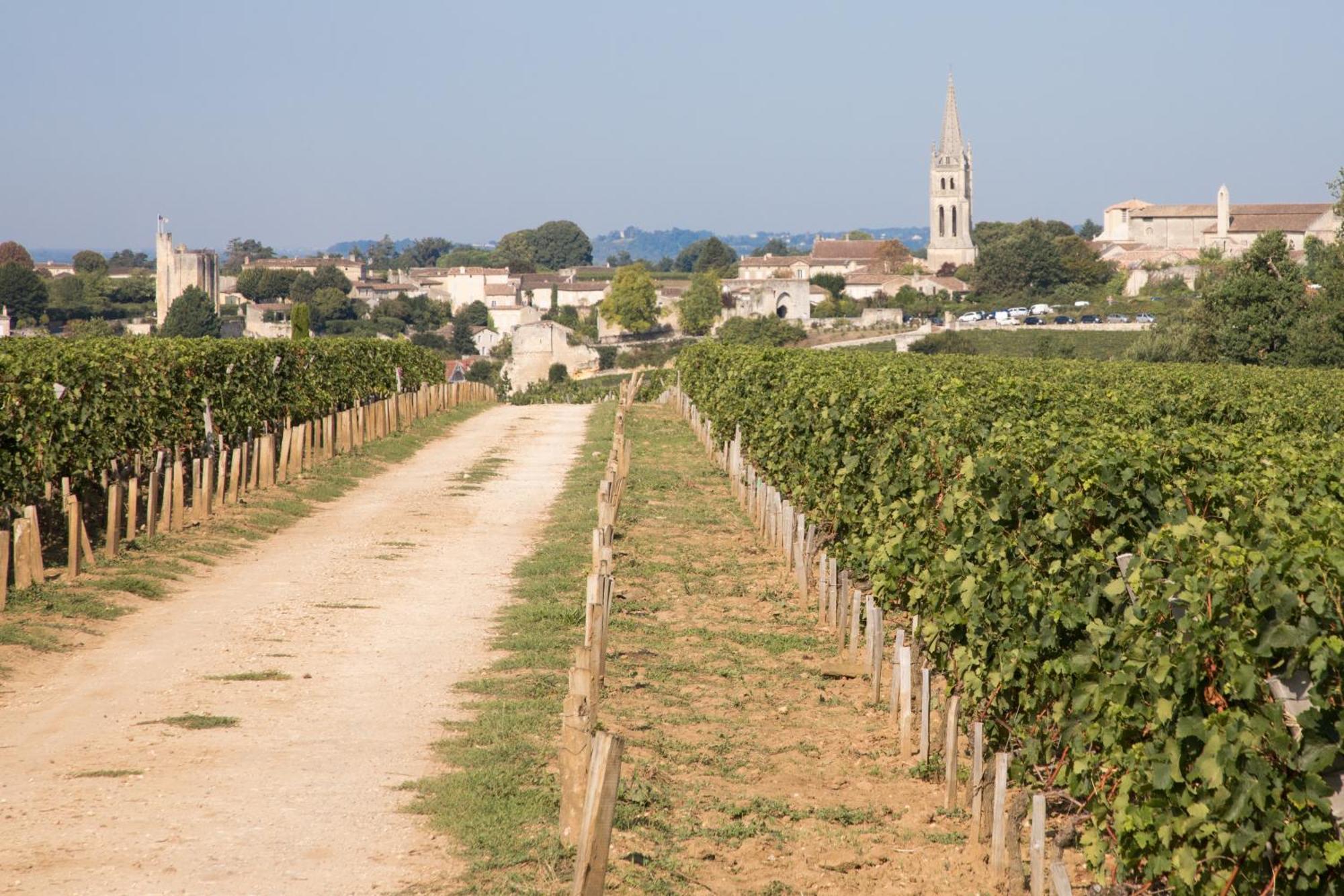 Les Clefs De Troplong Mondot Saint-Émilion Eksteriør bilde