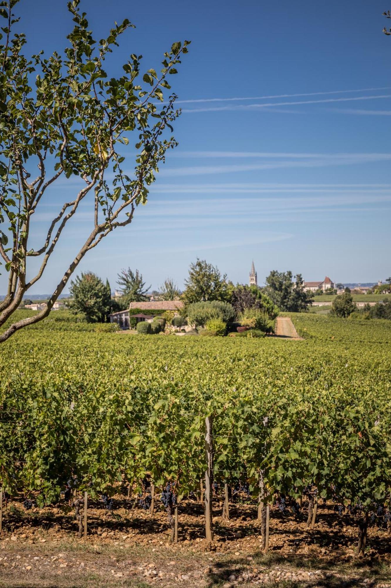Les Clefs De Troplong Mondot Saint-Émilion Eksteriør bilde