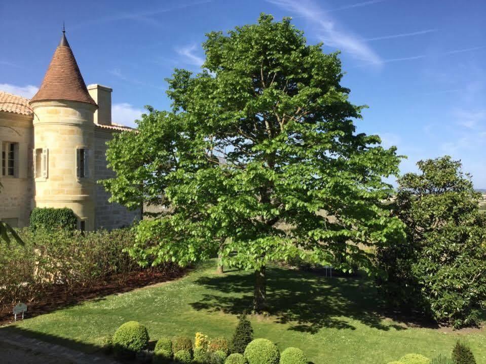 Les Clefs De Troplong Mondot Saint-Émilion Eksteriør bilde